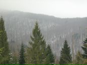 Віталій Левченко фотография #41 (источник - https://vk.com/id22231538)