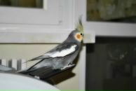 Віталій Грушецький фотография #29 (источник - https://vk.com/id60726593)