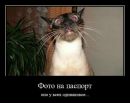 Петро Білик фотография #5 (источник - https://vk.com/id78809107)