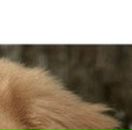 Лєна Ляшкевич фотография #44 (источник - https://vk.com/id57337092)