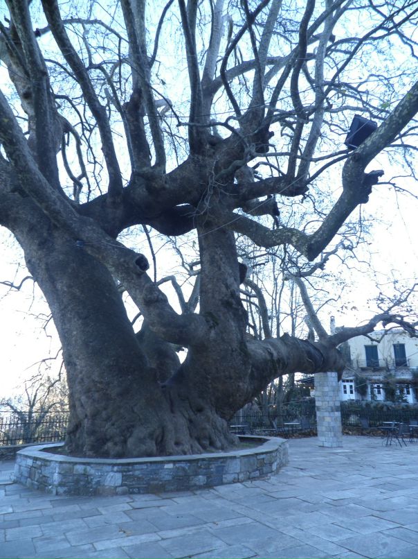 Ulia Simonidi фотография #2