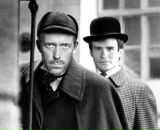 Фотография Данилова Алёна