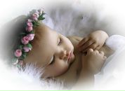 Фотография Бодунов Артем