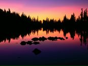 Міша Стецко фотография #28 (источник - https://vk.com/id70885306)