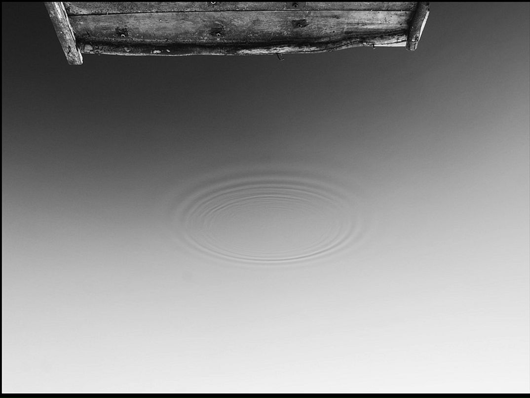 Саша Тарасенко фотография #33