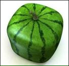 Фотография Даценко Владимира