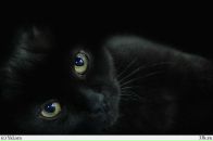 Фотография Обрывиной Анюты