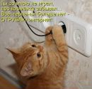 Ніна Мурга фотография #22 (источник - https://vk.com/id169123887)