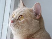 Фотография Мельник Натальи