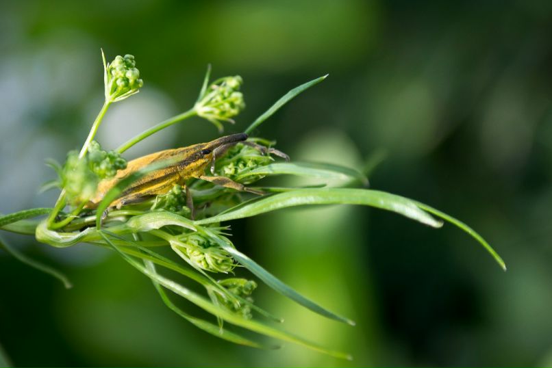 Антон Девяткин фотография #45