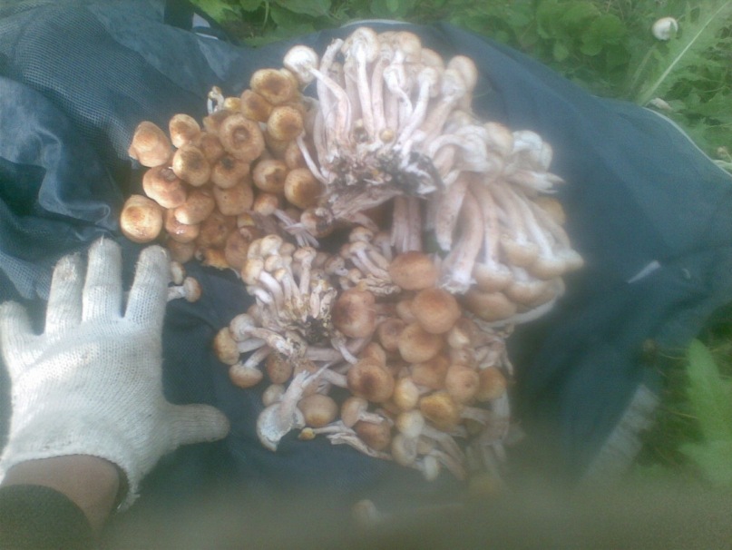 Дмитрий Матросов фотография #26