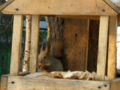 Фотография Гладышевской Аллы