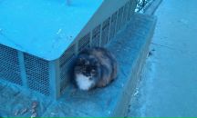 Катя Катя фотография #46 (источник - https://vk.com/id352286)