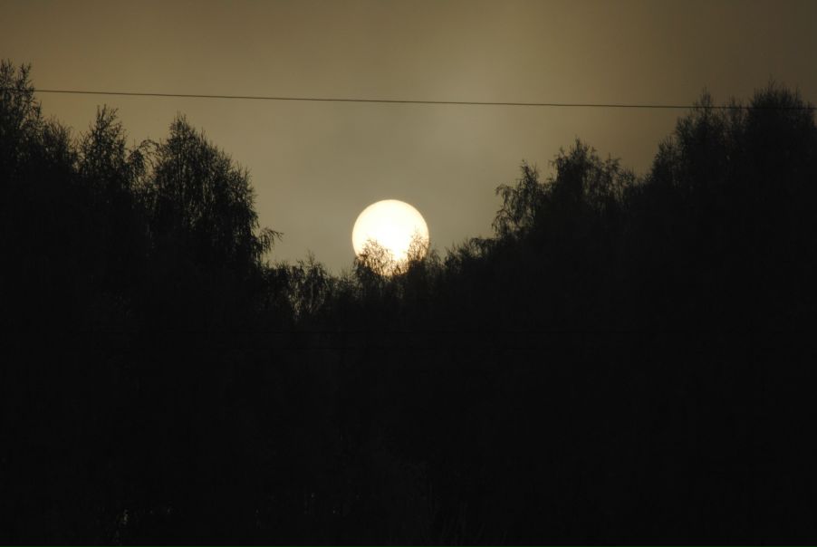 Yuri Bishaev фото №13