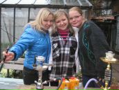 Фотография  