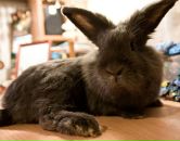 Фотография Исайчевы Марины