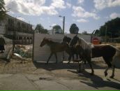 Tg Tu фотография #46 (источник - https://vk.com/id2201475)