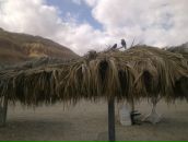 Tg Tu фотография #47 (источник - https://vk.com/id2201475)