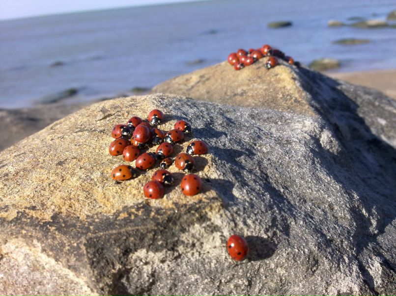 Дмитрий Васильев фотография #45