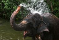 Даша Дашина фотография #28 (источник - https://vk.com/id2891457)