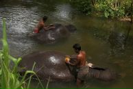 Даша Дашина фотография #34 (источник - https://vk.com/id2891457)