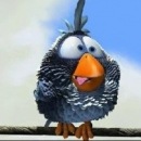 Фотография Tsvetkov Andrey