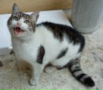 Ismet Alpay фотография #10 (источник - https://vk.com/id90845466)