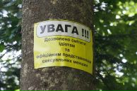 Міша Петришин фотография #2 (источник - https://vk.com/id19066967)