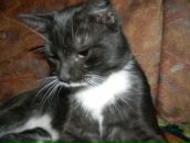 Фотография Александровой Маргариты