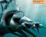 Теодор Юрійович фотография #40 (источник - https://vk.com/id8744084)