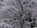 Галина Білоконь фотография #49 (источник - https://vk.com/id135539989)