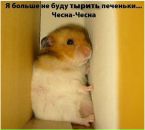 Фотография Наталья Шенгур