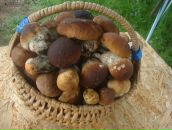 Фотография Лутковской Любови