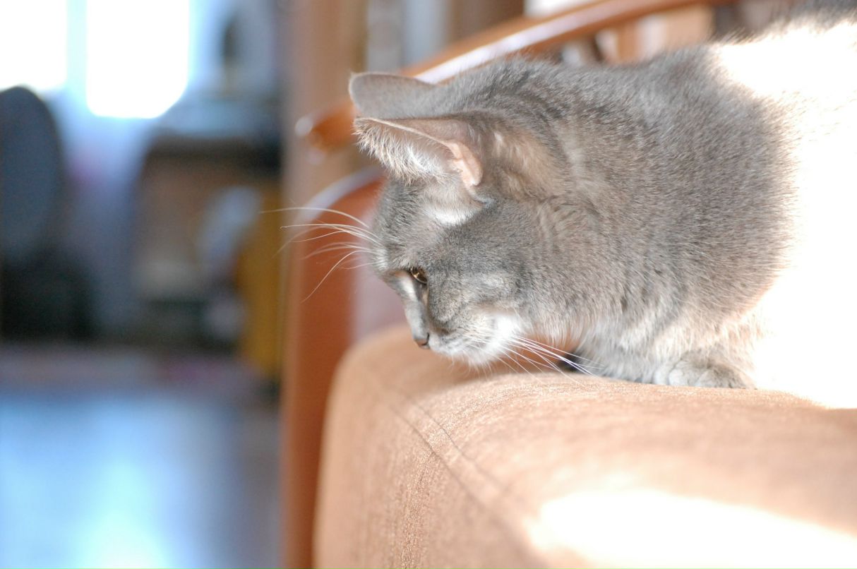 Николай Щеглов фотография #28