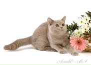 Фотография Владимировны Елены