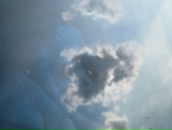 Фотография Паевского Олега