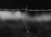 Фотография Садыковой Эльвиры