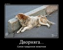 Олег Малішевський фотография #26 (источник - https://vk.com/id164613847)