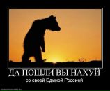 Фотография Иванова Владимира