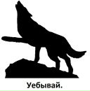 Денис Потанин фотография #19 (источник - https://vk.com/id7607243)