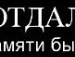 Коля Торохтій фотография #4 (источник - https://vk.com/id60767942)