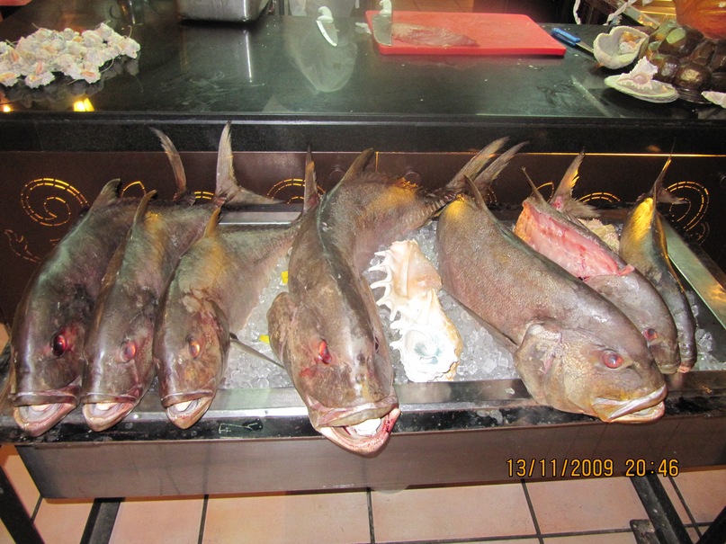 Илья Ханенко фотография #42