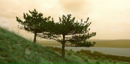 Фотография Славова Георги