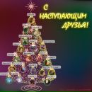 Фотография Токарева (думрауф) Ольги
