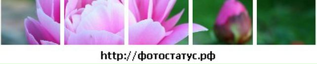 Аліночка Піта фотография #10 (источник - https://vk.com/id86336906)