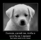 Фотография Прусс Анны