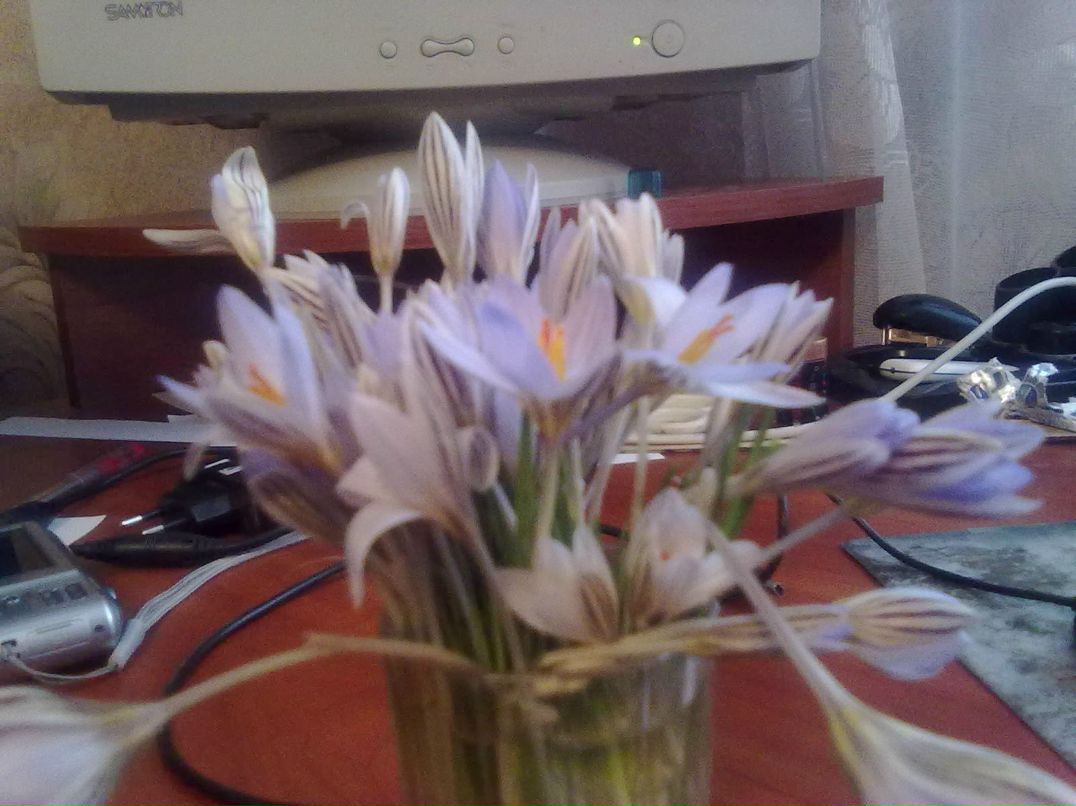 Артем Щибря фотография #20