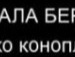 Рост Віцентій фотография #42 (источник - https://vk.com/id134925616)