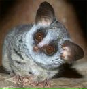 Фотография Александровой Маргариты