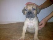 Антон Беляєв фотография #32 (источник - https://vk.com/id7465258)